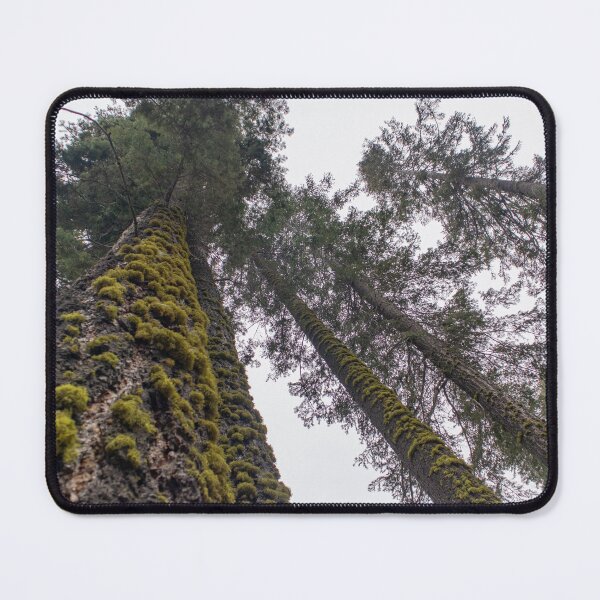 Item preview, Foggy Sequoia Forest designed and sold by J Carr Photographer.