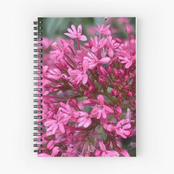 Item preview, Red Valerian, Spornblume by Mark Ewing designed and sold by LifeSpice.