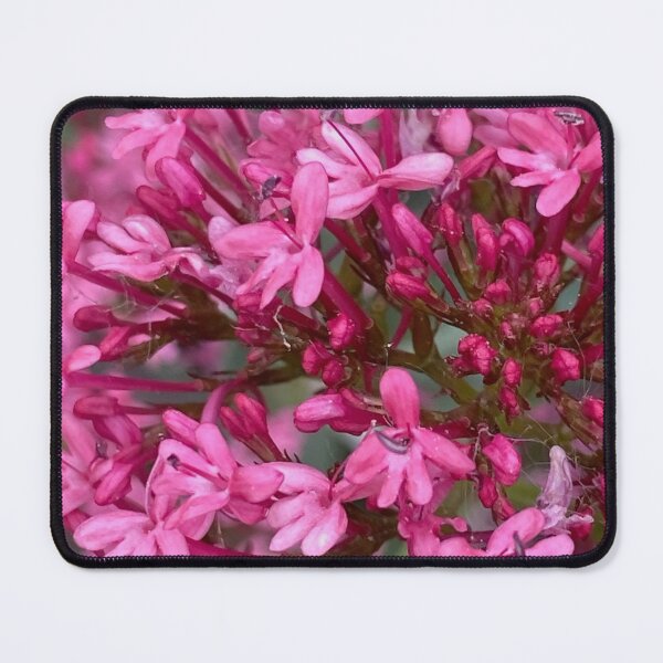 Item preview, Red Valerian, Spornblume by Mark Ewing designed and sold by LifeSpice.
