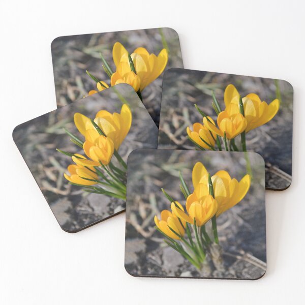 Item preview, Spring Yellow Crocus in Sunshine designed and sold by katiamelnik.