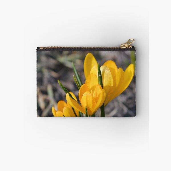 Item preview, Spring Yellow Crocus in Sunshine designed and sold by katiamelnik.