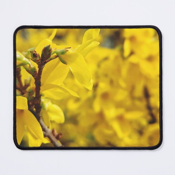 Item preview, Yellow Blooming Tree Forsythia designed and sold by katiamelnik.