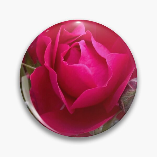 Item preview, Damask Roses by Mark Ewing designed and sold by LifeSpice.