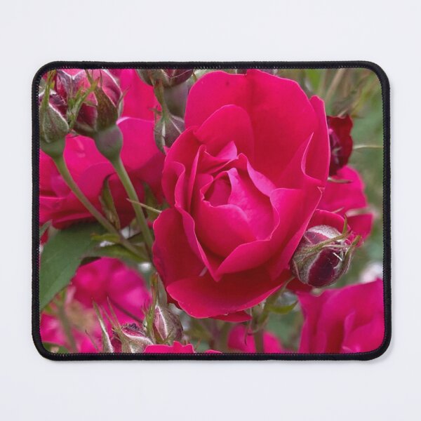 Item preview, Damask Roses by Mark Ewing designed and sold by LifeSpice.