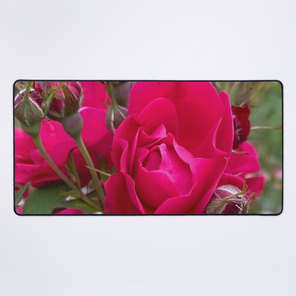 Item preview, Damask Roses by Mark Ewing designed and sold by LifeSpice.