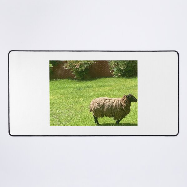 Item preview, The lost sheep designed and sold by Pearls1.
