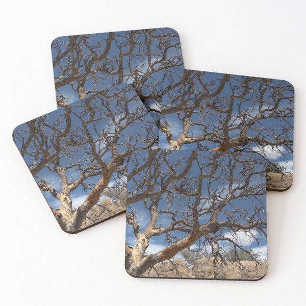 Item preview, Jumbo Rocks Branching designed and sold by J Carr Photographer.