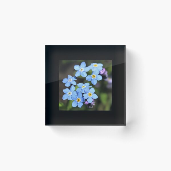 Item preview, Forget-Me-Not designed and sold by Melissa Glabay.