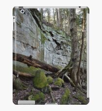 Cuyahoga iPad Case/Skin