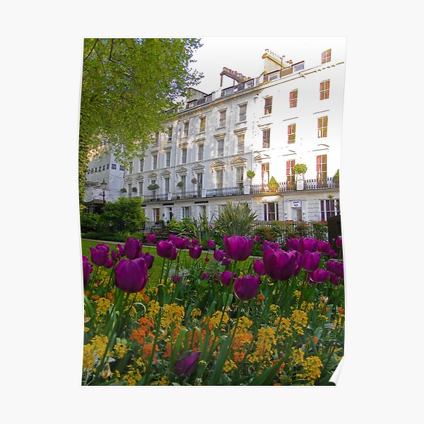norfolk square Poster
