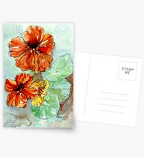 Nasturtiums, sunny Vit. C Postcards