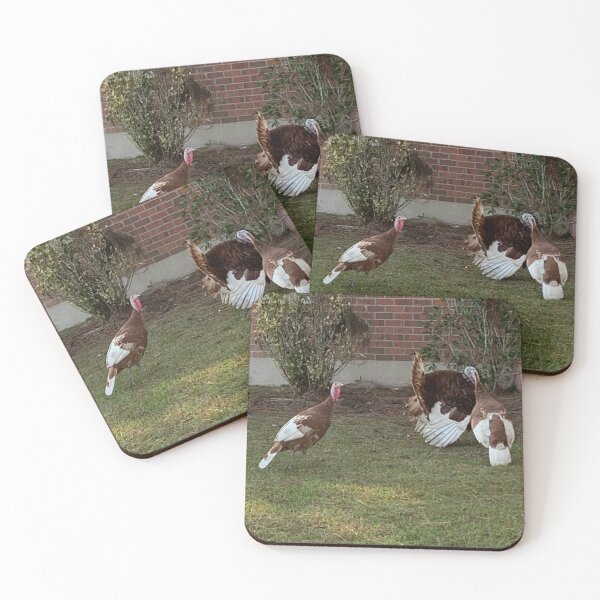 Item preview, Wild turkeys, the hunter becomes the hunted! designed and sold by Pearls1.
