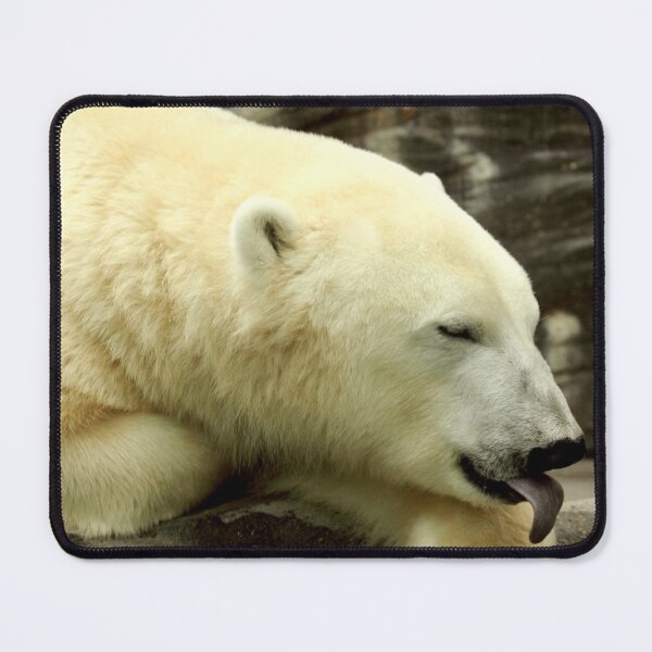 Item preview, Cheeky Polar Bear designed and sold by TVD-Photography.
