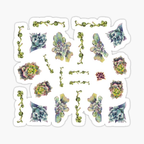 Summer Succulents, Spring Day - Pattern Sticker