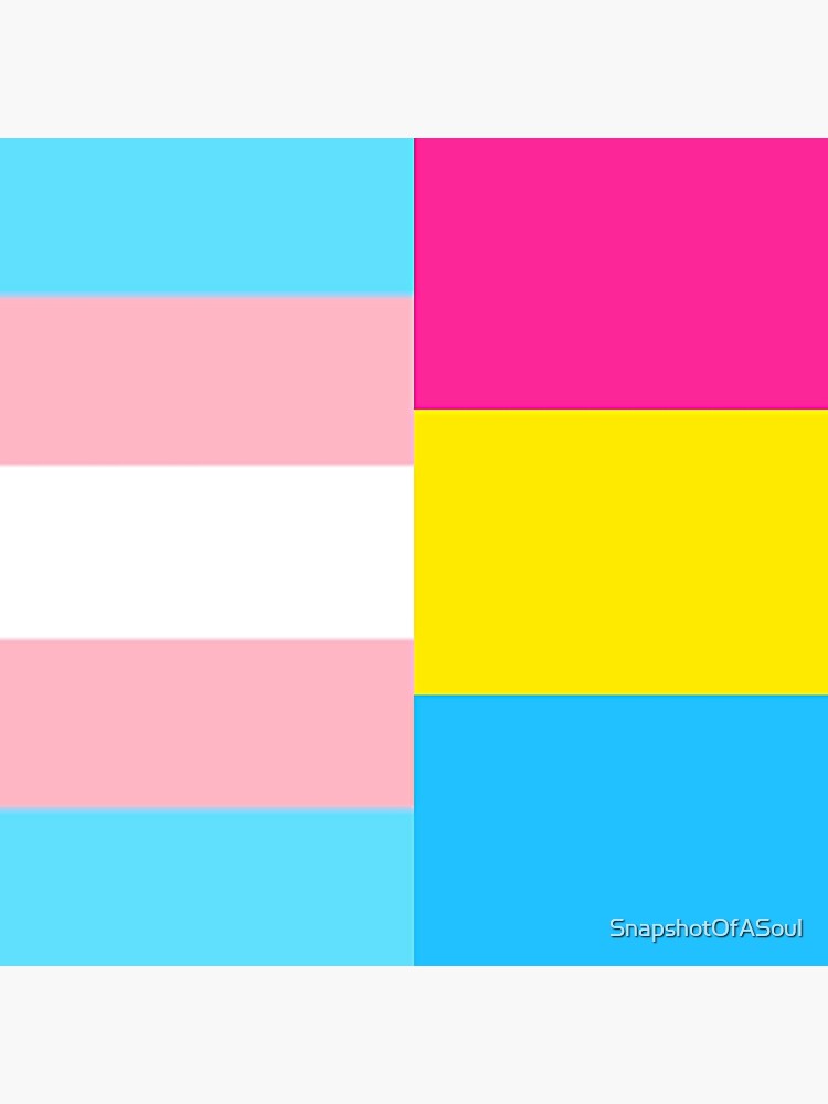 Pan Trans Flag Sticker For Sale By Snapshotofasoul Redbubble