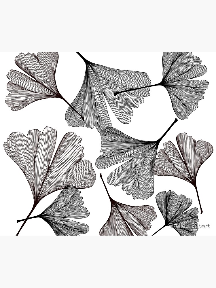 Disover Ginkgo leaves black and white drawing Shower Curtain