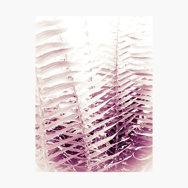 Item preview, Flotsam & Fun: Funky Ferns designed and sold by Chancelrie.