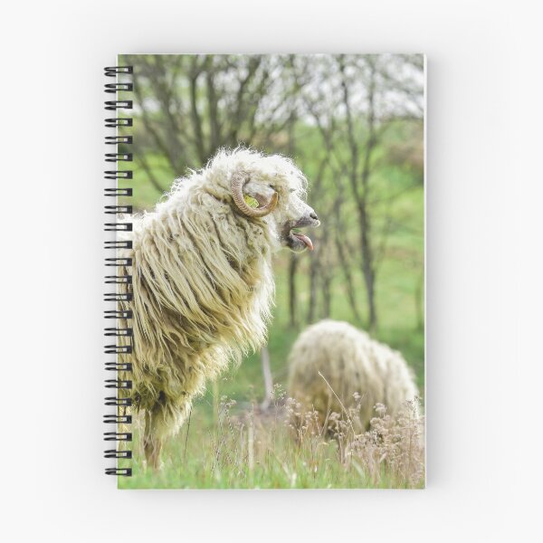 Item preview, Sheep on hill in spring designed and sold by Olimpia Negura.