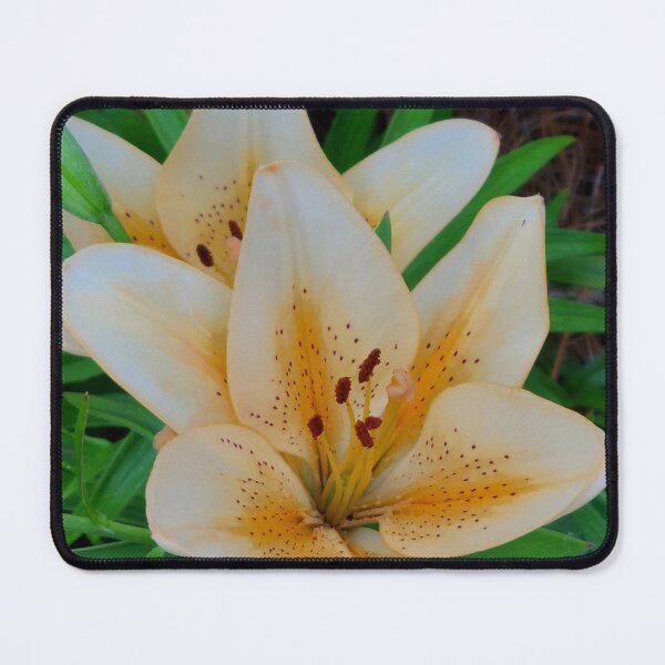 Item preview, Tiger Lily with Leaves Square Photo designed and sold by AliCatOriginals.
