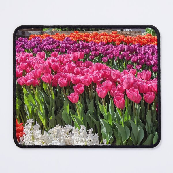 Item preview, Colorful Tulips FLOWERS designed and sold by webgrrl.