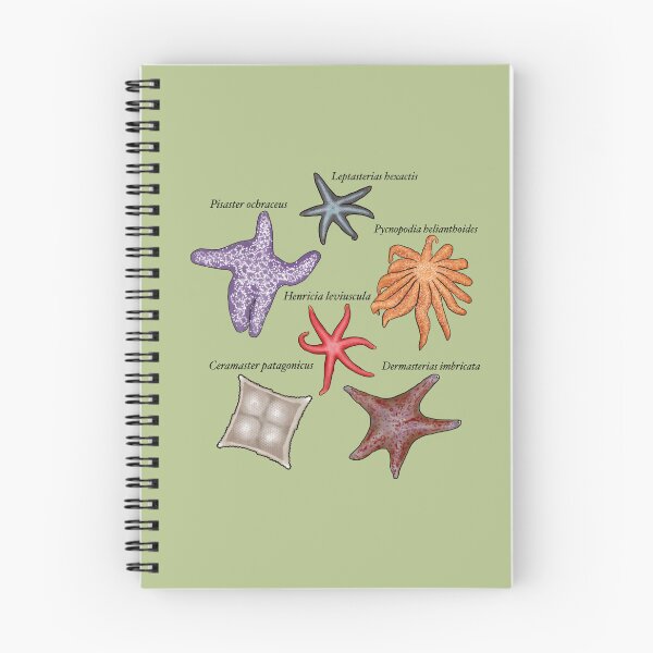 Item preview, Sea star group labeled designed and sold by Seatheocean.