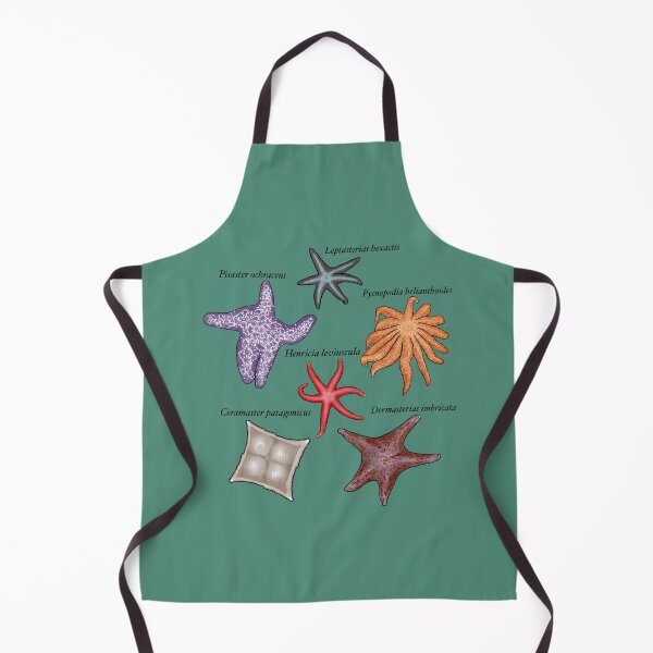 Item preview, Sea star group labeled designed and sold by Seatheocean.