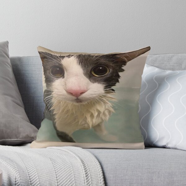 Cat pillow on sale