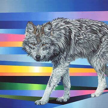 Artwork thumbnail, Sunset Wolf by Julie Costanzo
