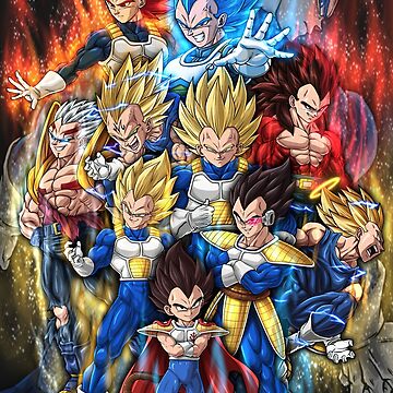 Vegeta  Dragon Ball Fight Evolution