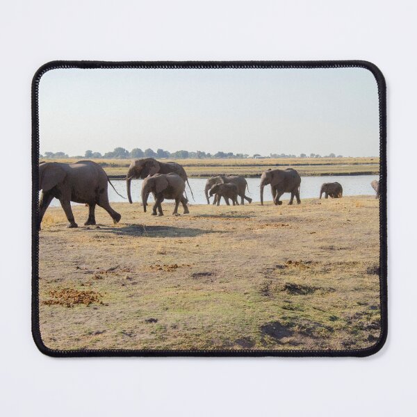 Item preview, Elephant group in Namibia designed and sold by Speedy.