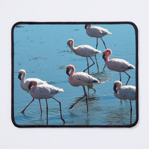 Item preview, Flamingo group designed and sold by Speedy.