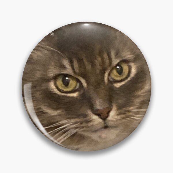 Item preview, Sasha Kitty designed and sold by ptchris65.