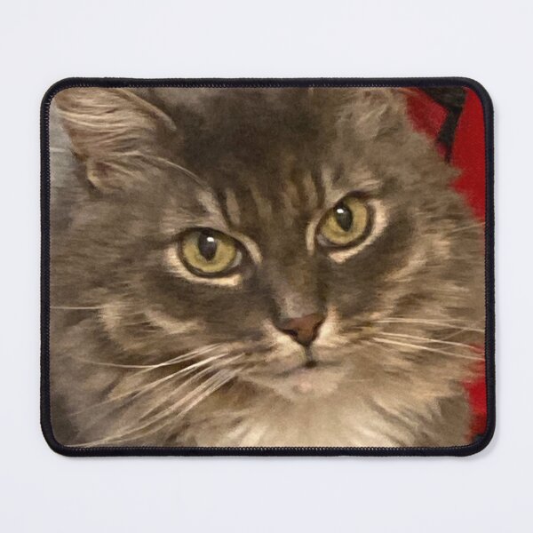 Item preview, Sasha Kitty designed and sold by ptchris65.