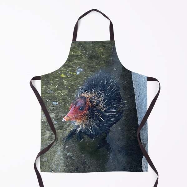 Item preview, Coot cub designed and sold by Mortinus.