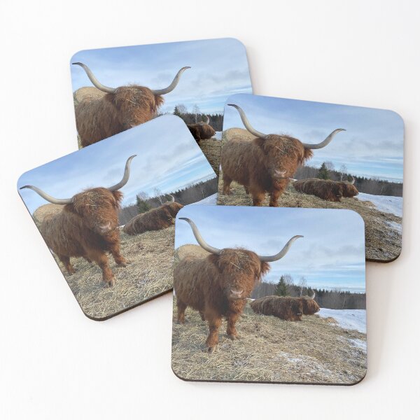 Item preview, Scottish Highland Cattle Cow 3278 designed and sold by SaarelaHighland.