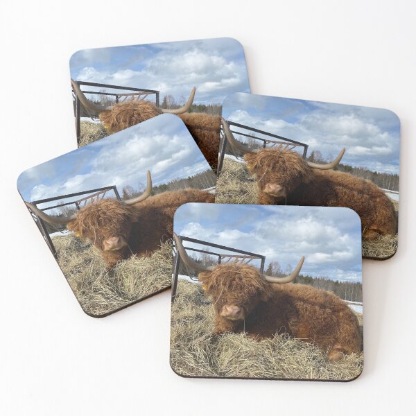 Item preview, Scottish Highland Cattle Cow 3285 designed and sold by SaarelaHighland.