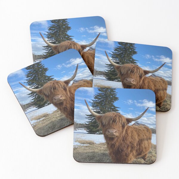 Item preview, Scottish Highland Cattle Cow 3286 designed and sold by SaarelaHighland.