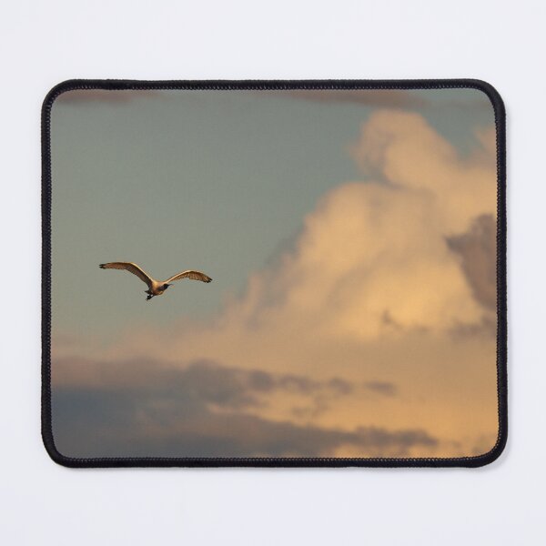 Item preview, Royal Spoonbill against sunlit clouds designed and sold by theleastone.