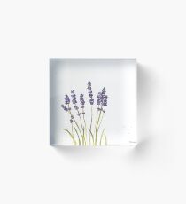 Lavender watercolour painting Acrylic Block