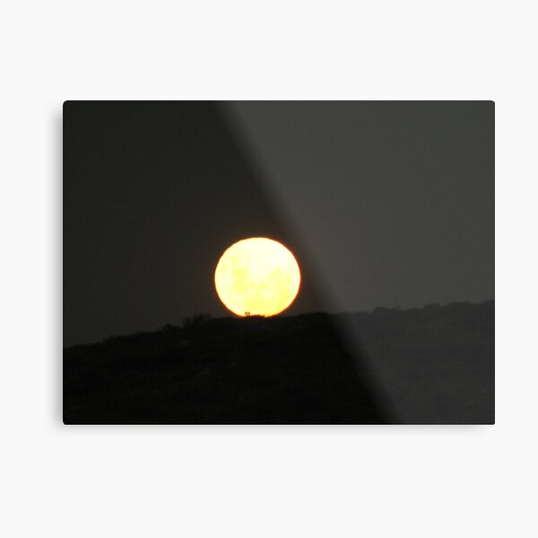 One Small Step For Man . . . Metal Print