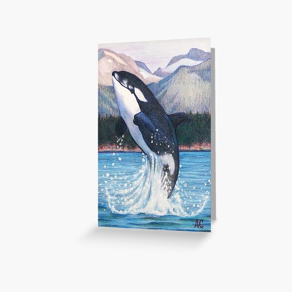 Item preview, Orca designed and sold by WyoClements.