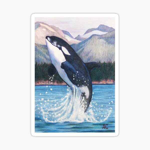 Item preview, Orca designed and sold by WyoClements.
