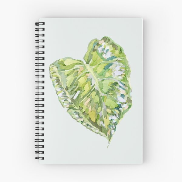 Item preview, Watercolour Young Monstera Leaf designed and sold by beccaboyce.