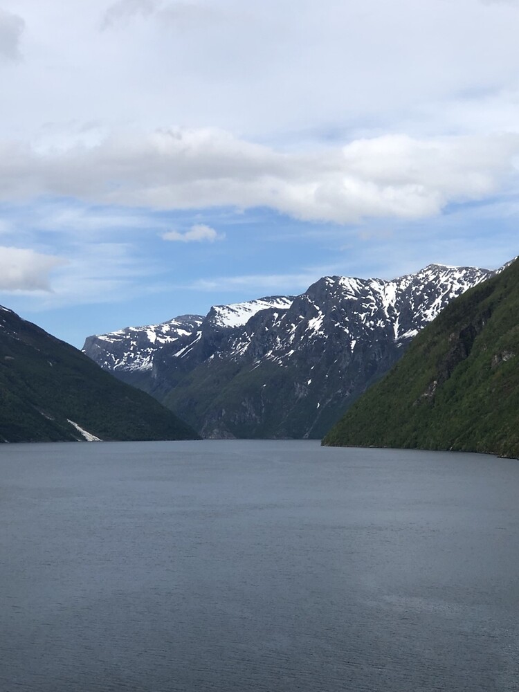 "Norwegian Fjords " Poster for Sale by SamTDesigns Redbubble