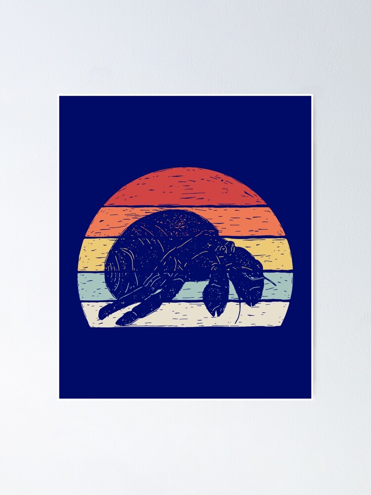 Vintage Retro Hermit Crab Poster For Sale By Diuuzuyyy Redbubble