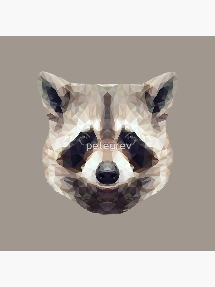The Raccoon by petegrev