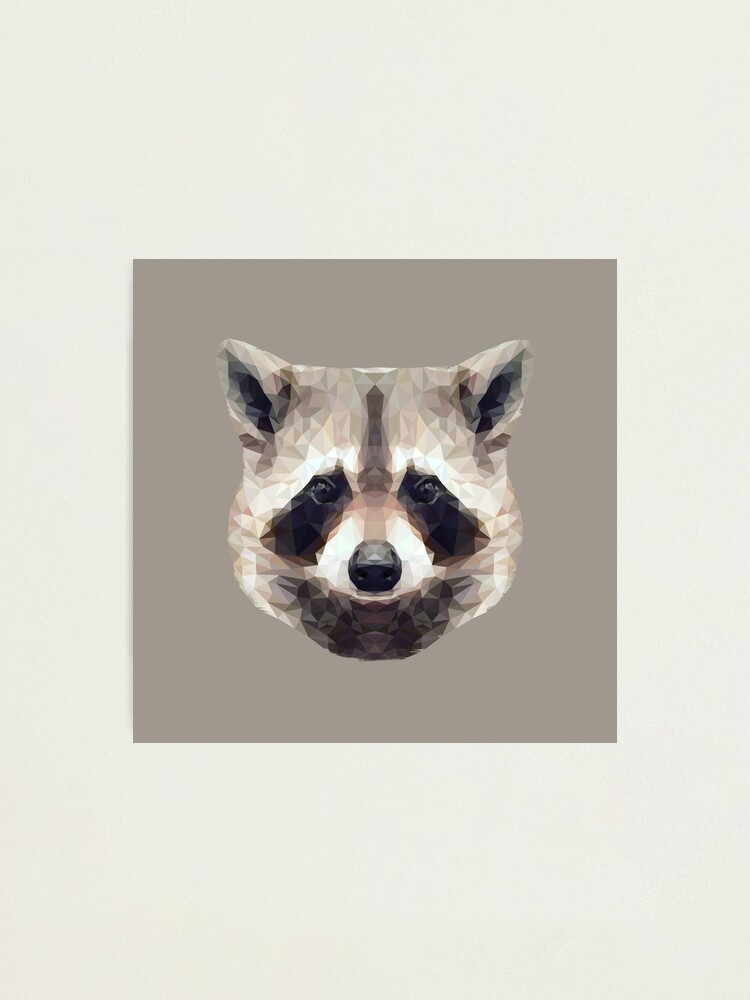 Alternate view of The Raccoon Photographic Print