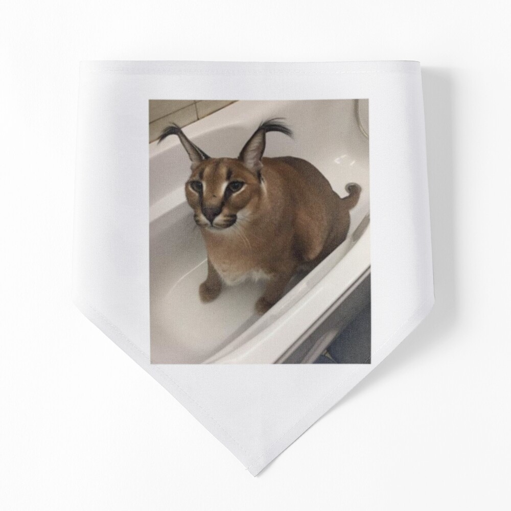 FLOPPA CAT \ CARACALS / GOOD AT MATH | Greeting Card