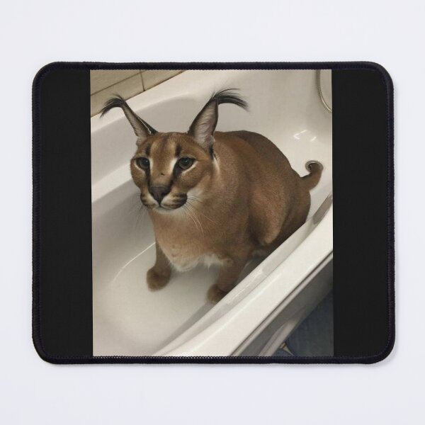 Cat Mouse Meme, Rubber Desktop Mat, Floppa Mouse Pad