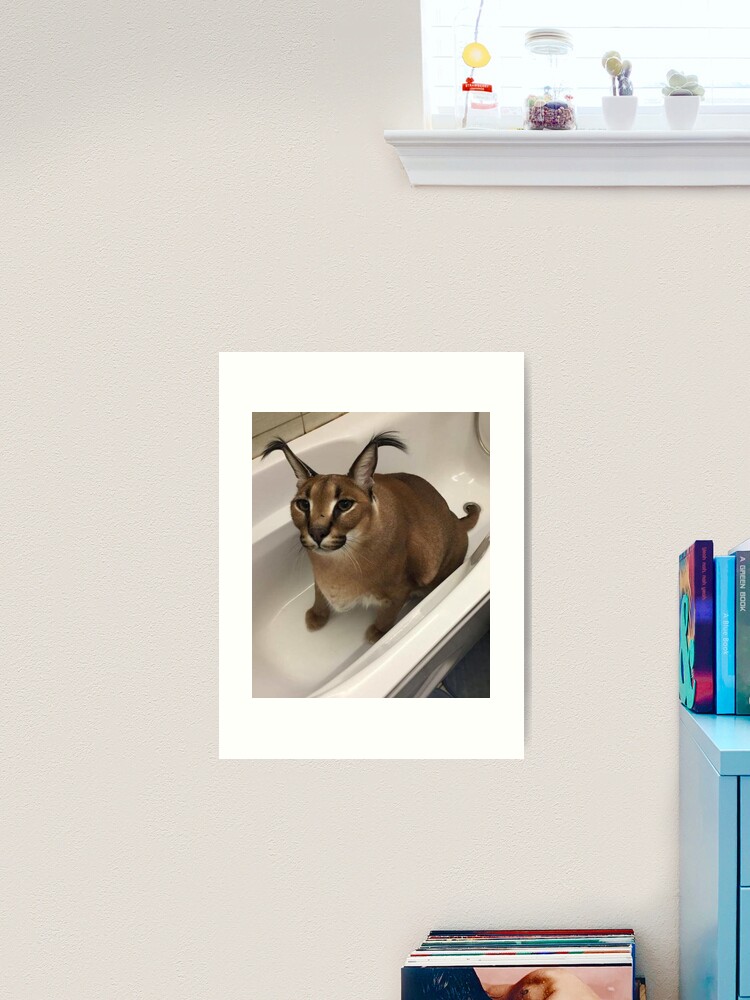 Lámina fotográfica for Sale con la obra «Gran Gato Floppa Meme» de momshow